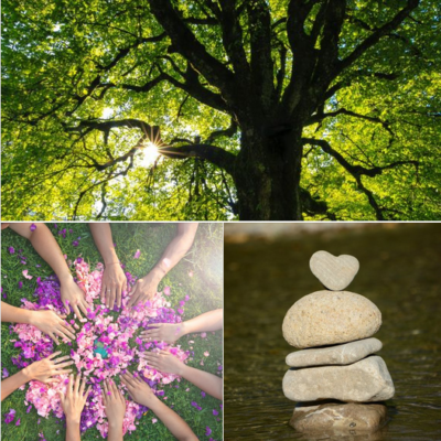tree with sunshine through leaves heart stone on piled stones circle of hands in petals