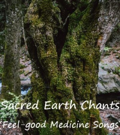 A mossy tree with the words Sacred Earth Chants feel good Medicine songs 2nd Monday of Month