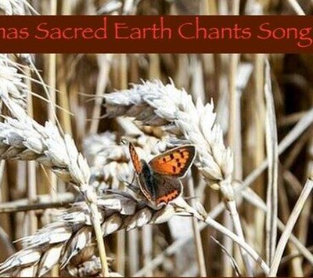 butterfly on ripe wheat with the words Lammas Sacred Earth Chants Song Circle at Quiet View 27th July